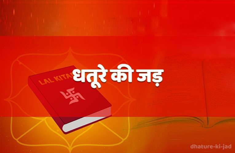 dhatoore kee jad