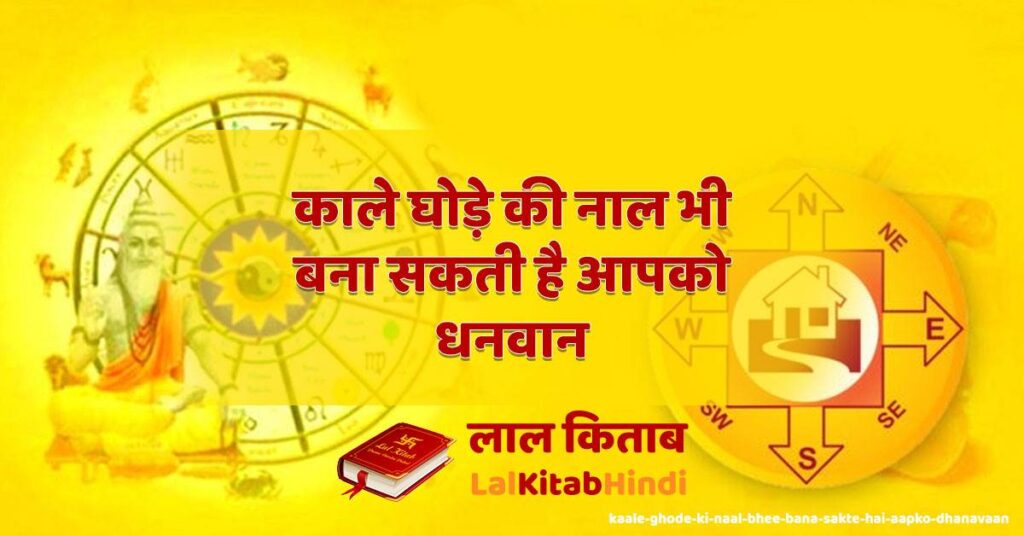 kaale ghode ki naal bhee bana sakte hai aapko dhanavaan