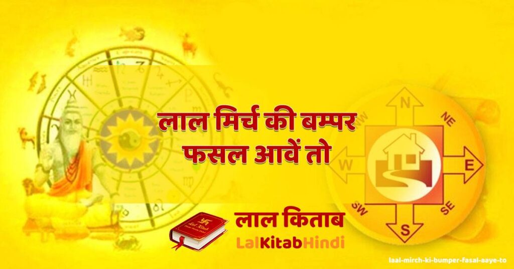 laal mirch ki bumper fasal aaye to