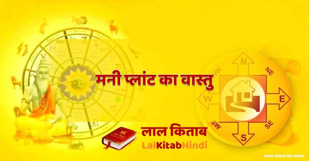 mani plant ka vastu