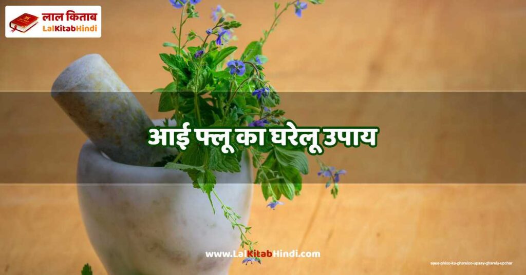 aaee phloo ka ghareloo upaay