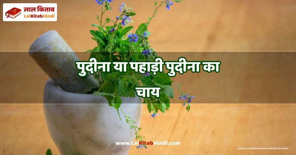 pudina ya pahaadee pudina ki chai