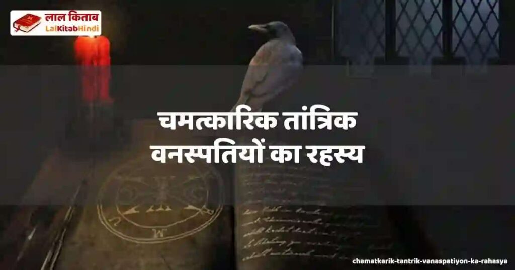 chamatkarik tantrik vanaspatiyon ka rahasya