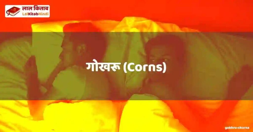 gokhru (churna)