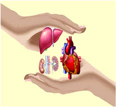 सपने में अंग दान करना