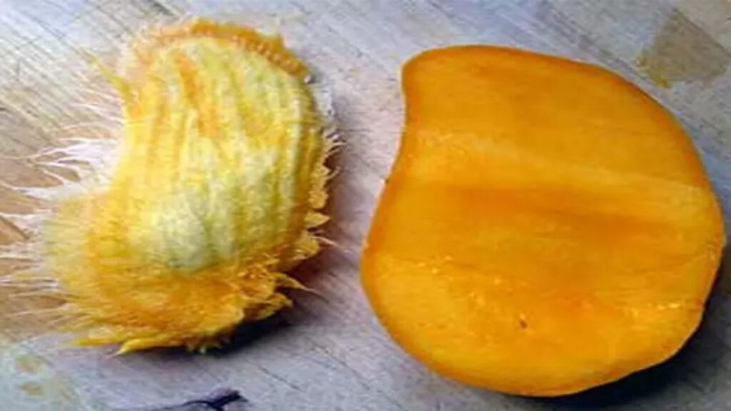 सपने में गुठली खाना या फेंकना