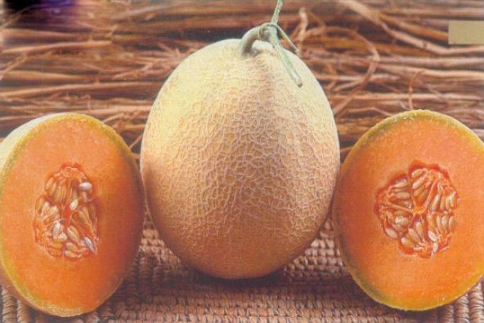 सपने में खरबूजा देखना