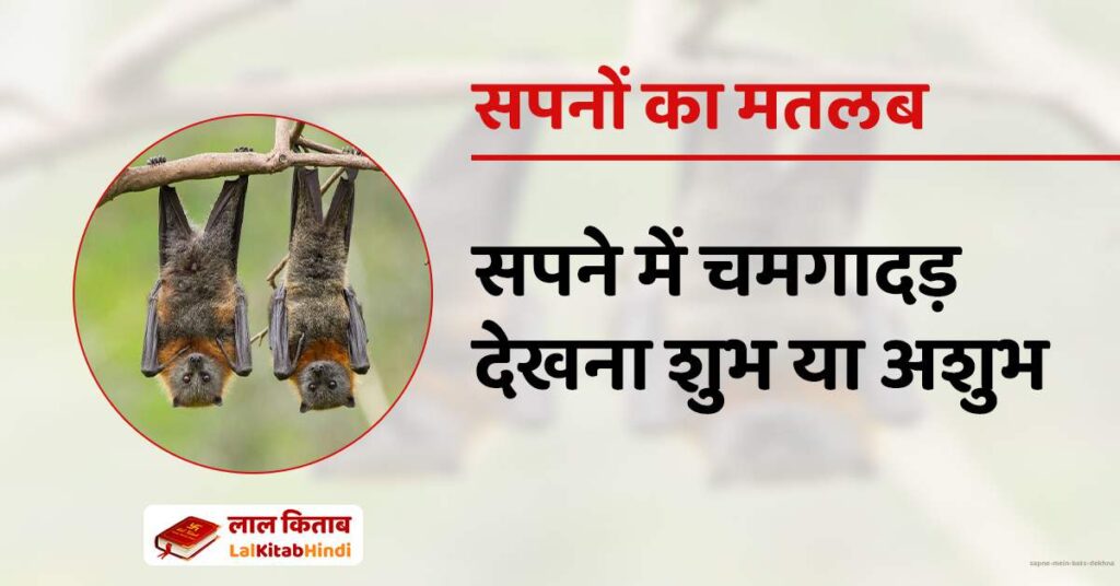 Sapne Mein Bats Dekhna