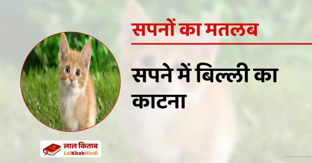 Sapne Mein Billi ka Katna