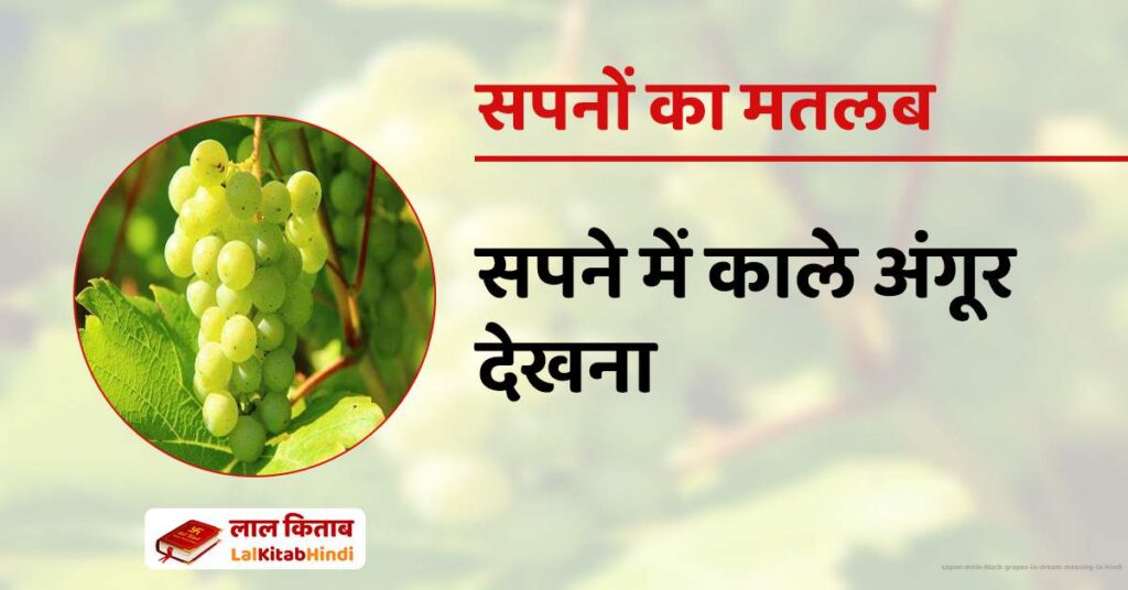 Sapne Mein Black Grapes in Dream meaning in Hindi