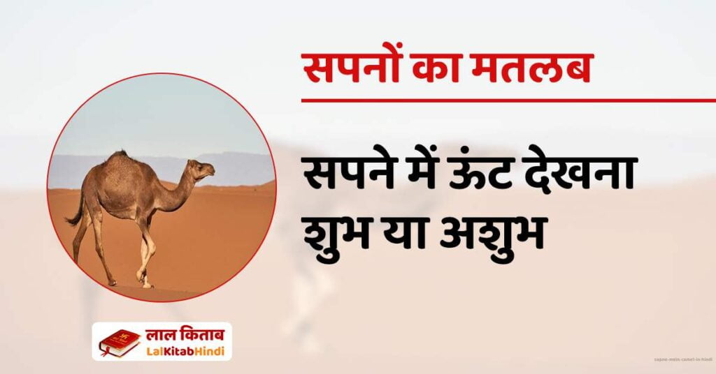 Sapne Mein Camel in Hindi