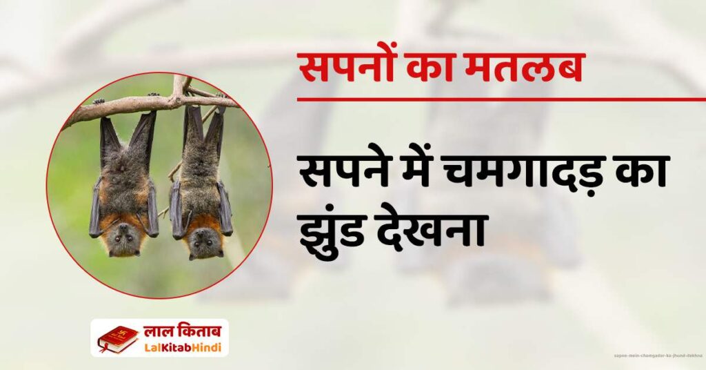 Sapne Mein Chamgadar ka jhund dekhna