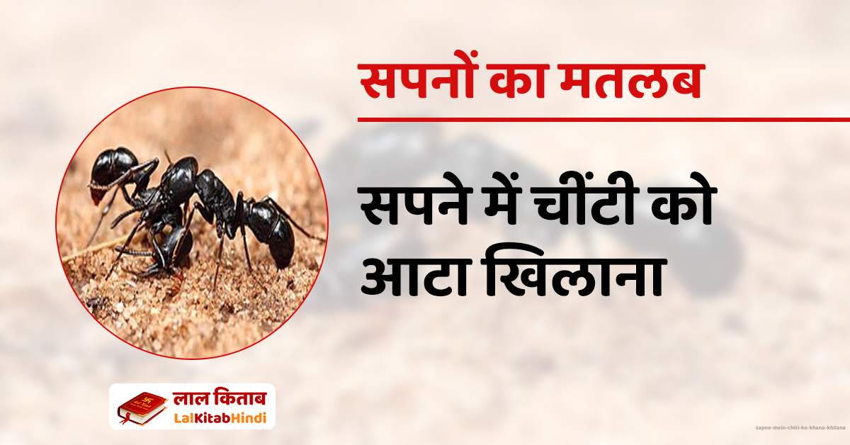 सपने में चींटी को आटा खिलाना - Sapne Mein chiti ko khana khilana