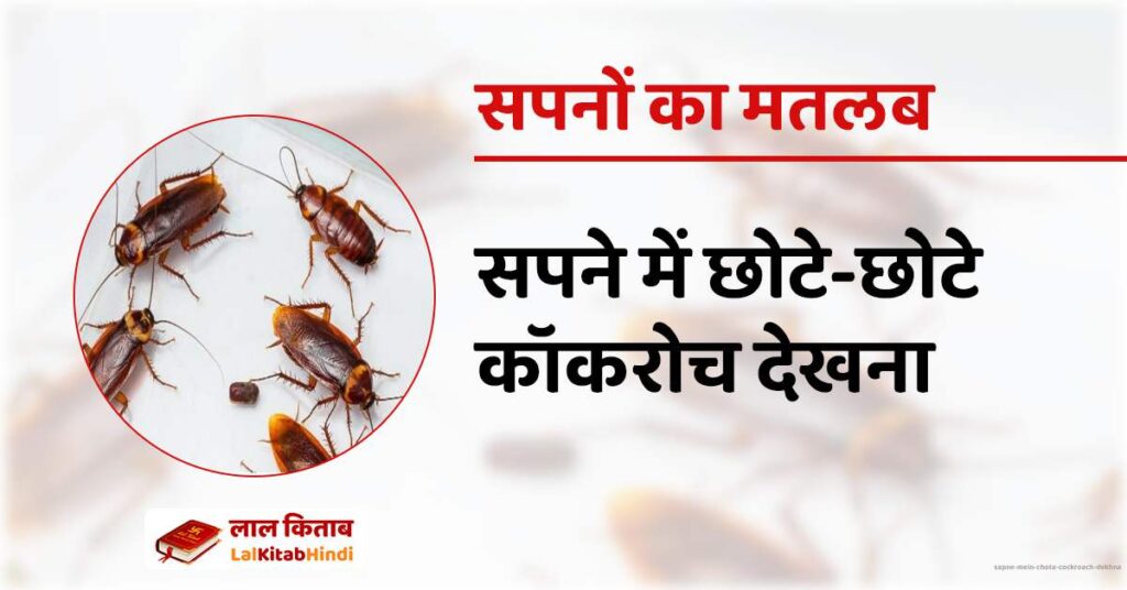 Sapne mein chota cockroach dekhna