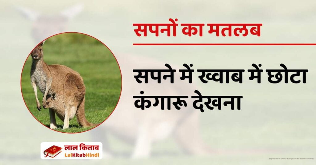 Sapne Mein Chota Kangaroo ka baccha dekhna