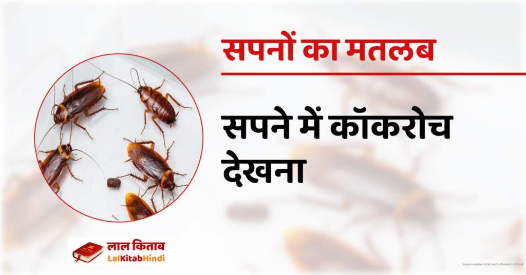 Sapne Mein Cockroach Dream in Hindi