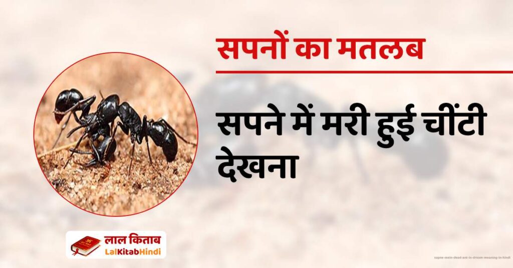 Sapne Mein Dead Ant in Dream meaning in Hindi