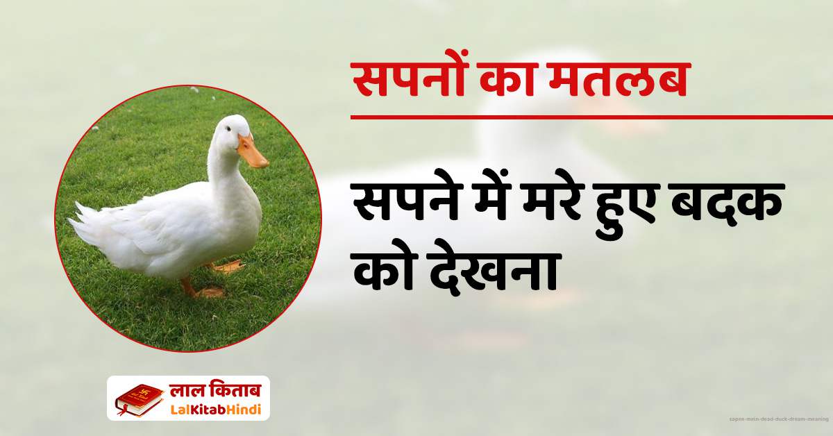  Sapne Mein Dead Duck Dream Meaning 