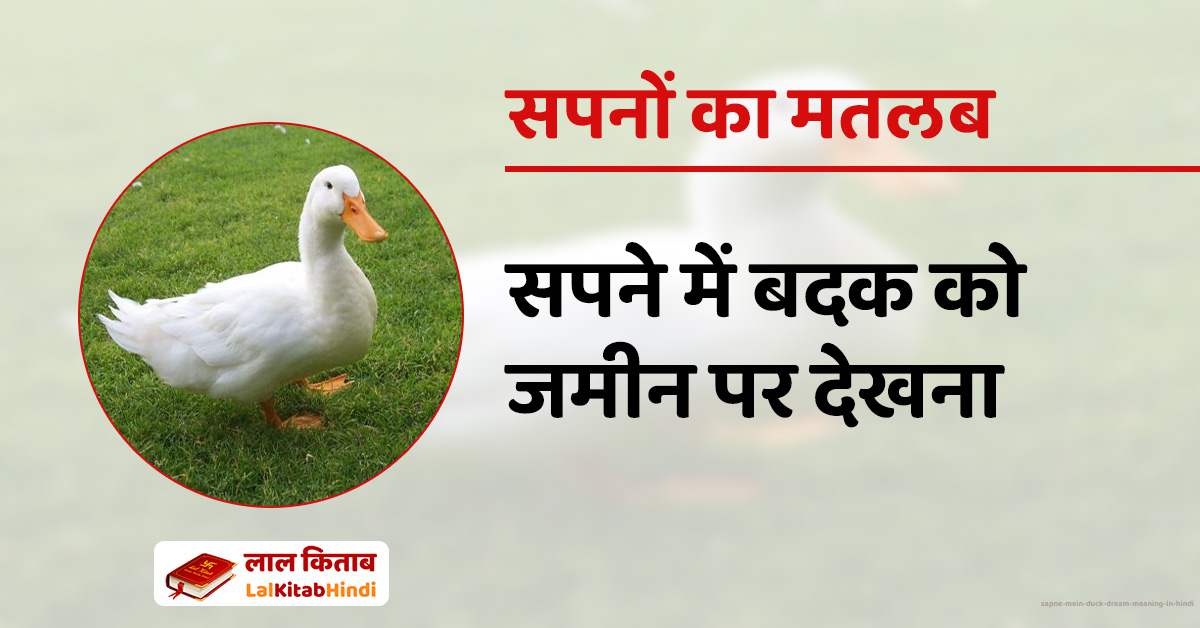 सपने में बदक को जमीन पर देखना Sapne Mein duck Dream Meaning in Hindi