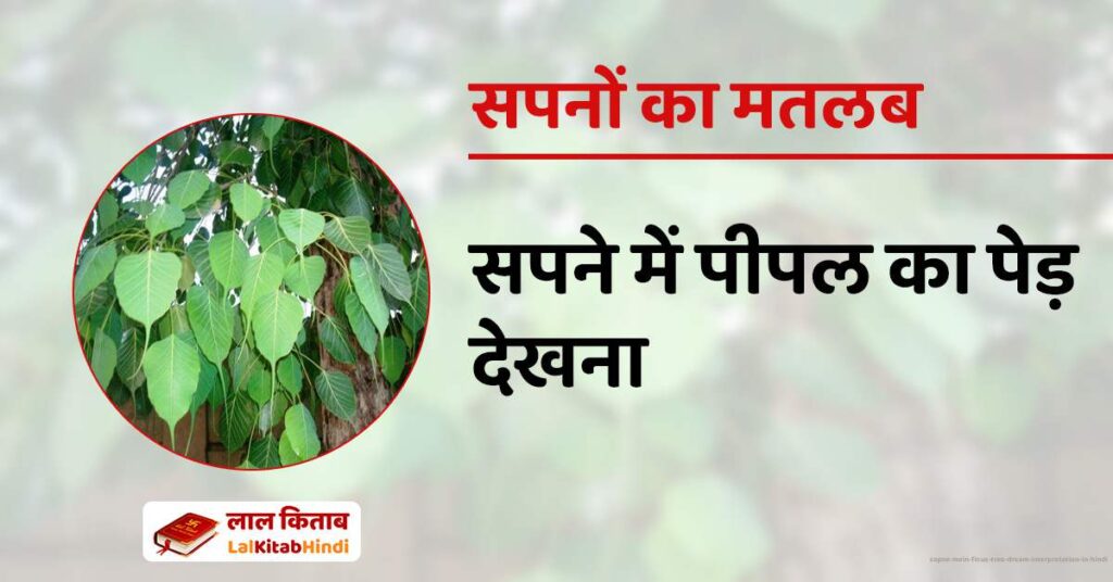 Sapne Mein Ficus tree Dream Interpretation in Hindi