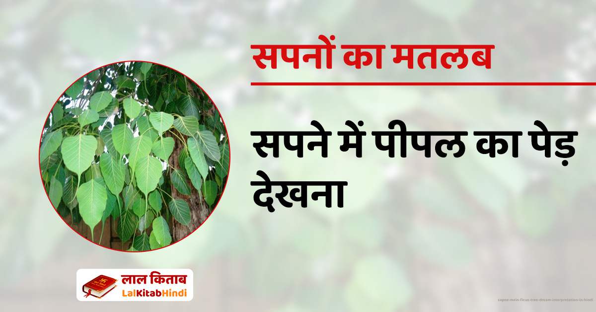सपने में पीपल का पेड़ देखना Sapne Mein Ficus tree