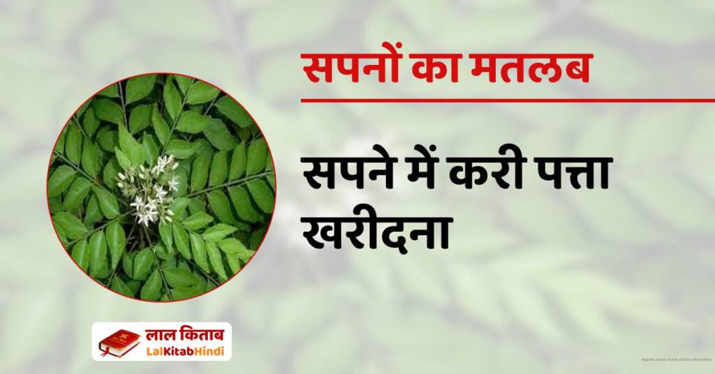 Sapne mein Kadi Patte Kharidna