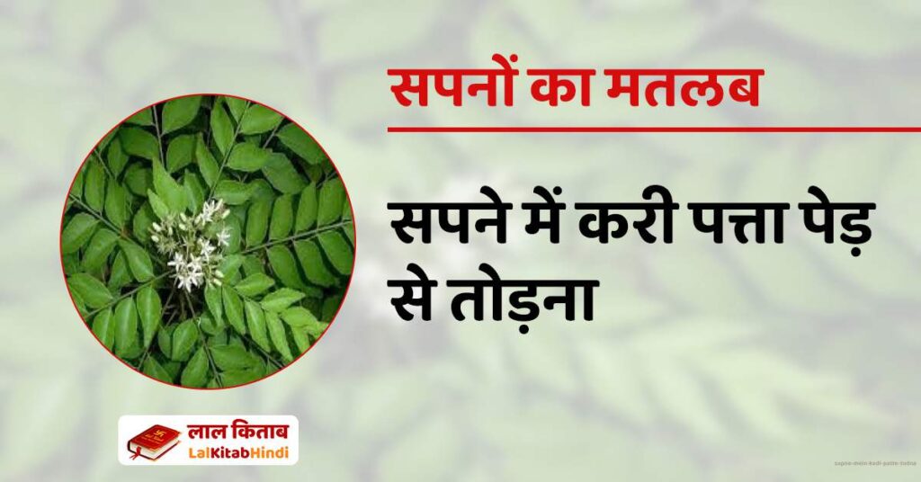 Sapne mein Kadi Patte todna