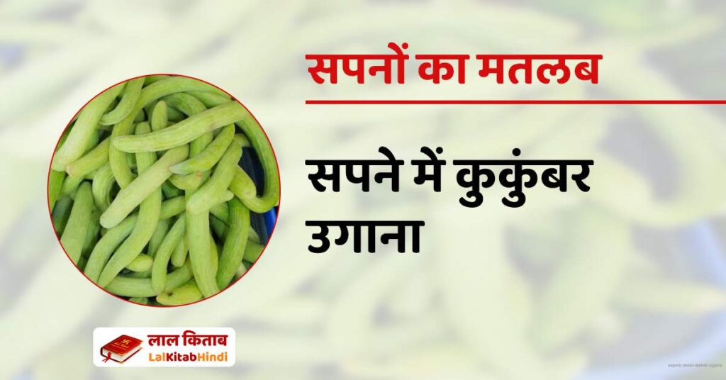 Sapne mein Kakdi Ugana