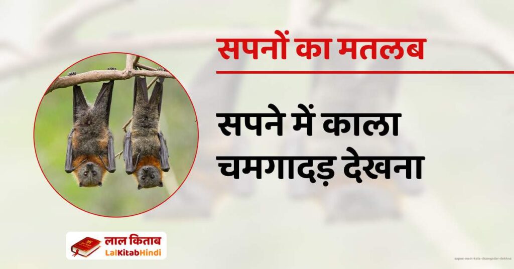 Sapne Mein Kala Chamgadar Dekhna