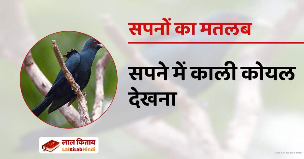 Sapne Mein Kali Koyal Dekhna