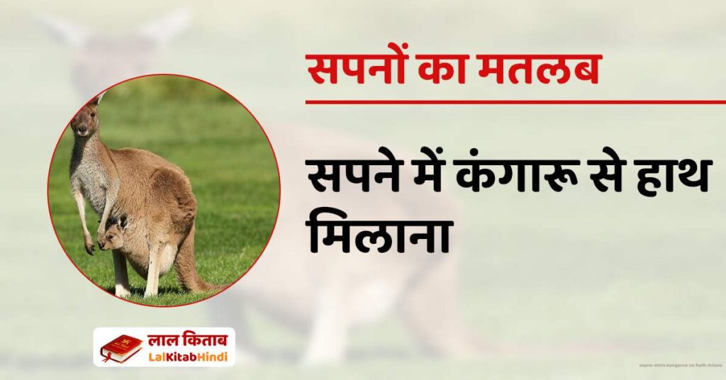 Sapne Mein kangaroo se hath milana
