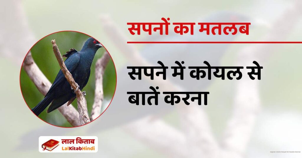 Sapne Mein Koyal ki Baate Karna