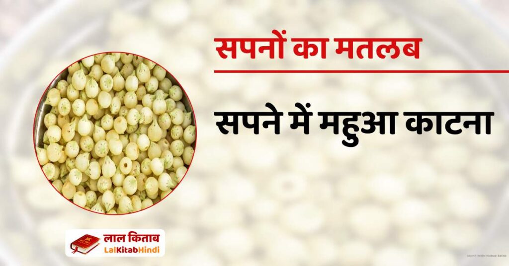 Sapne mein Mahua Katna