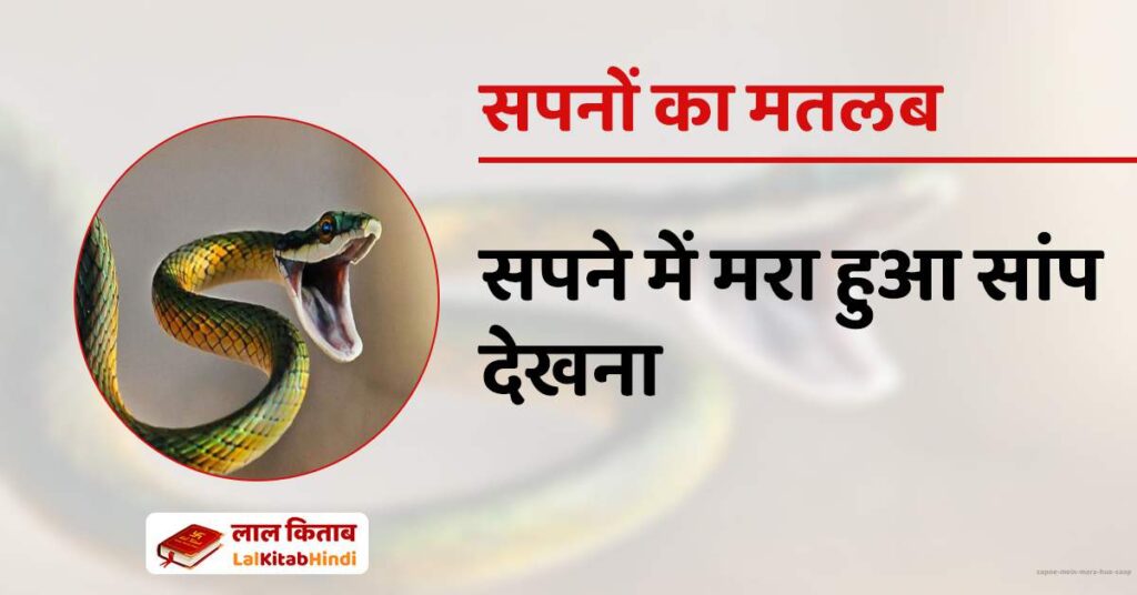 Sapne Mein Mara hua Saap