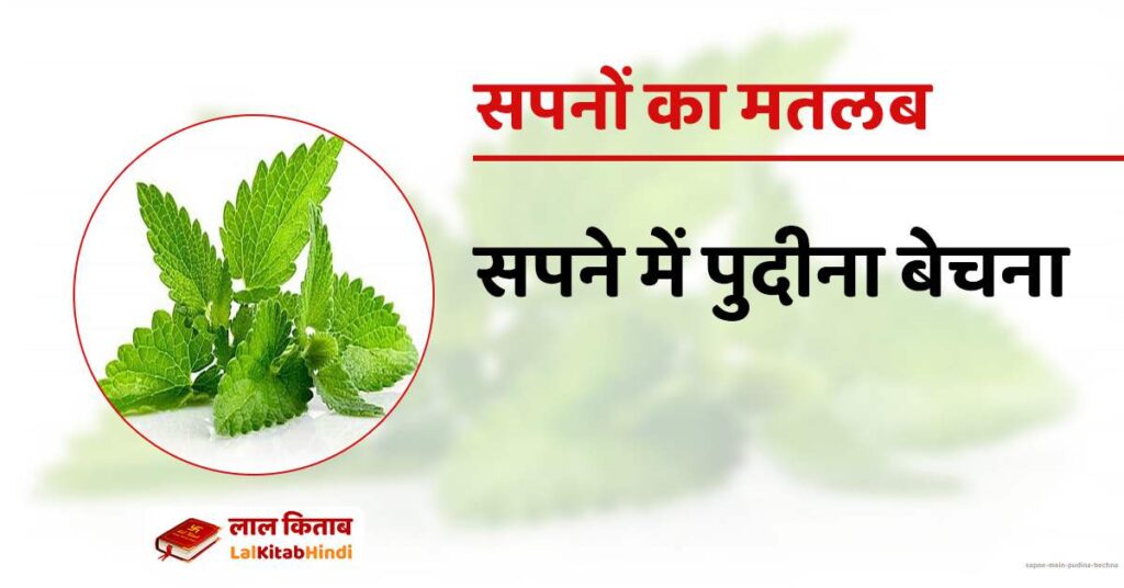 Sapne mein Pudina Bechna
