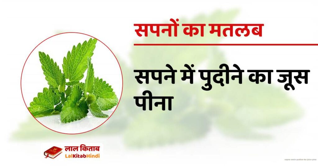 Sapne mein Pudine ka Juice Pina