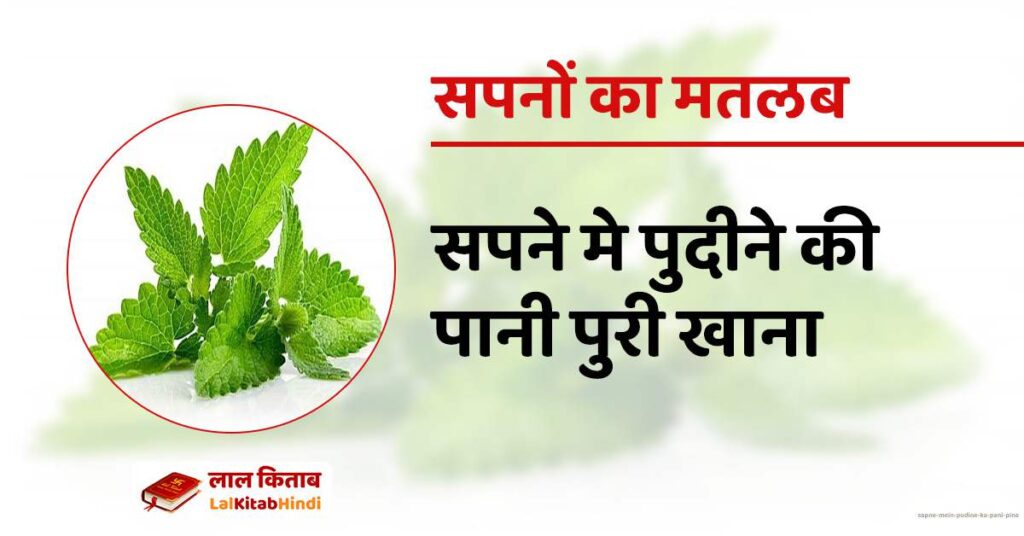 Sapne mein Pudine ka Pani Pina