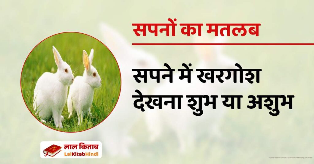 Sapne Mein Rabbit in Dream Meaning in Hindi