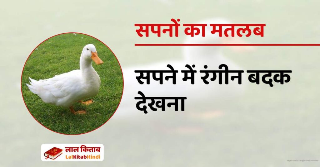 Sapne Mein Rangin Duck Dekhna