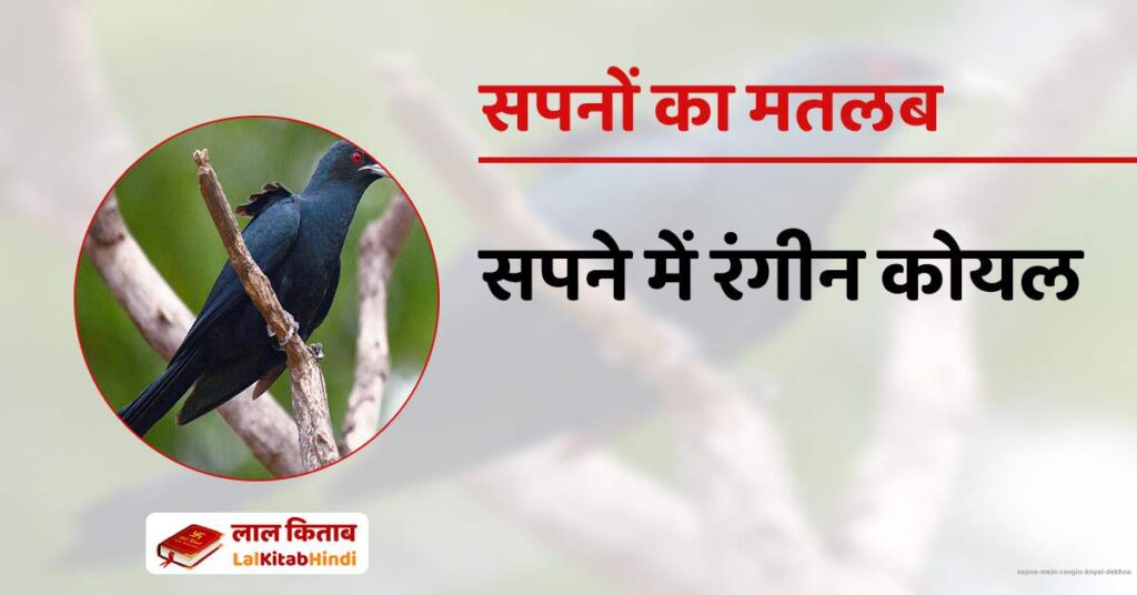 Sapne Mein Rangin Koyal Dekhna