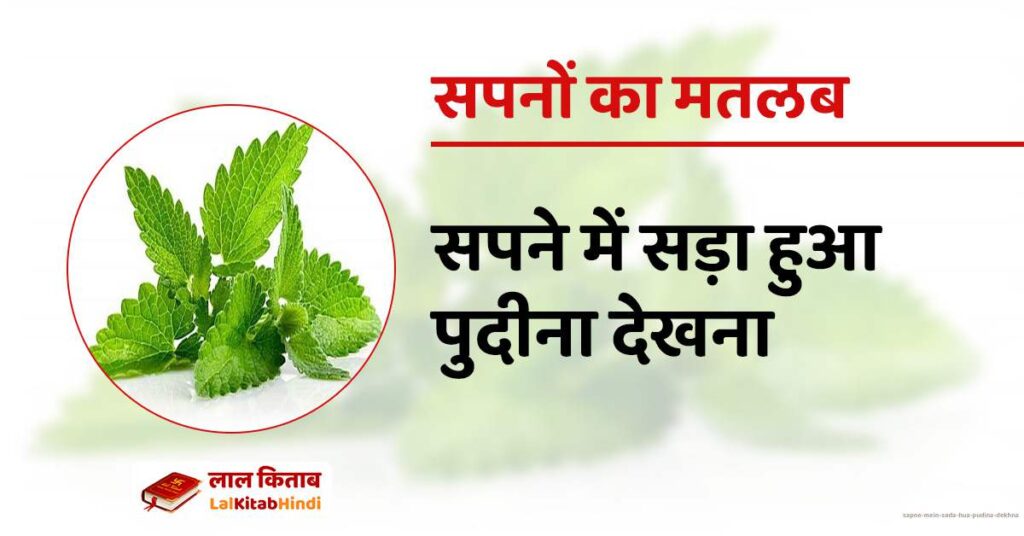 Sapne mein Sada hua Pudina Dekhna