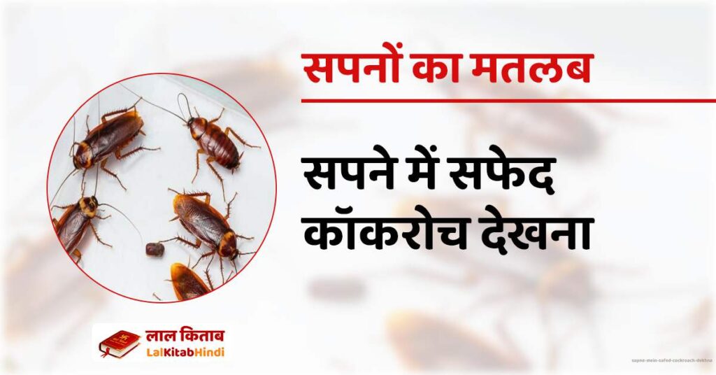 Sapne Mein Safed Cockroach Dekhna