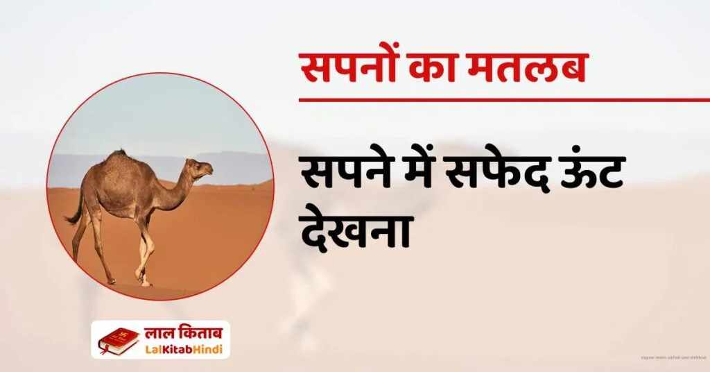 Sapne mein Safed Unt dekhna