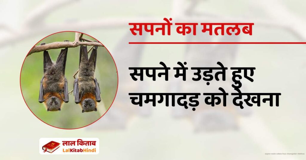 Sapne Mein udata hua Chamgadar Dekhna