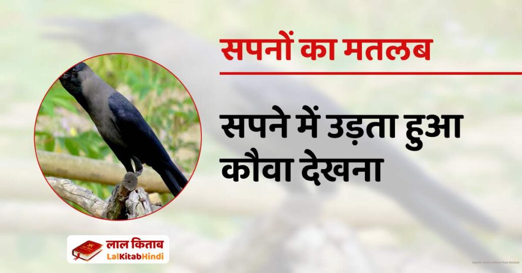 Sapne Mein udata hua Kauwa