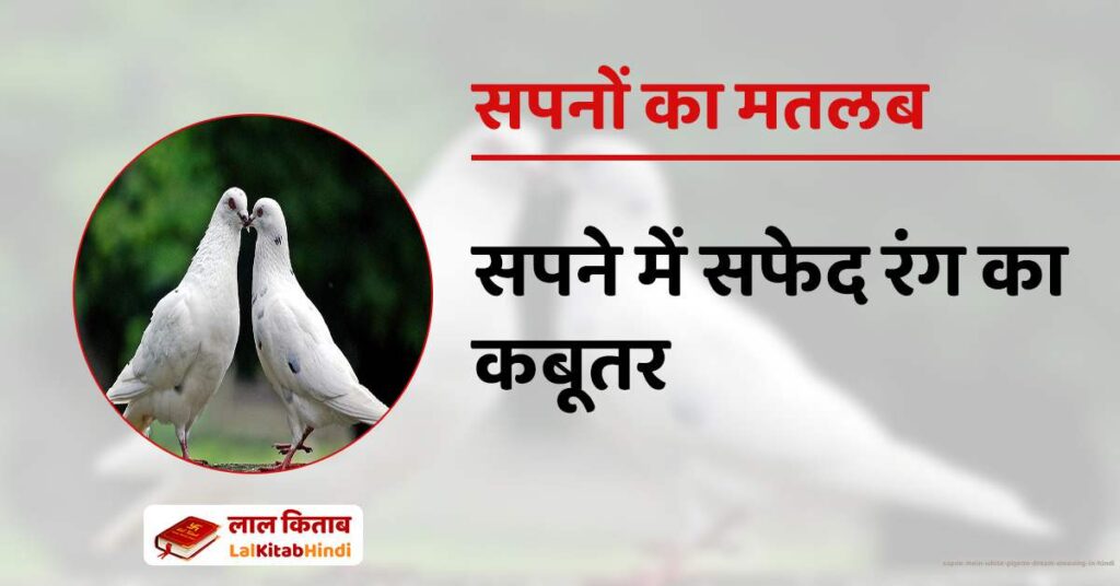 Sapne Mein White Pigeon Dream Meaning in Hindi